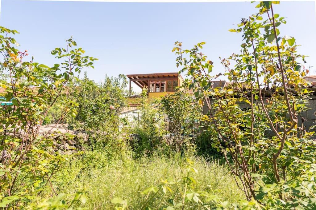 Casa La Vera Rural Talaveruela Zewnętrze zdjęcie